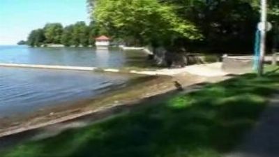 На прогулке по парку засадил девке раком на лавке