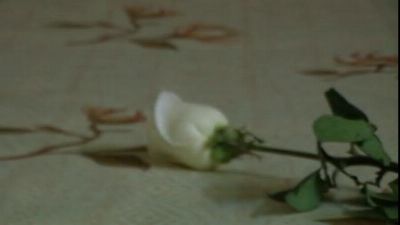 Русская девушка показывает стриптиз и круто вертит попой