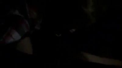 Порнуха с участием Ирины Сычевой в одном из ночных клубов